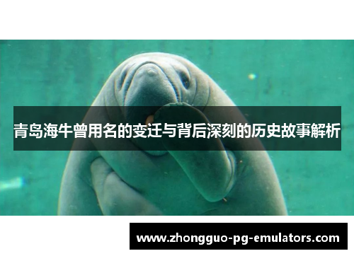 青岛海牛曾用名的变迁与背后深刻的历史故事解析