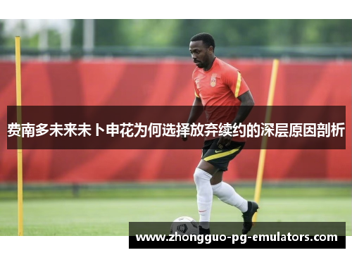 费南多未来未卜申花为何选择放弃续约的深层原因剖析 费南多未来未卜申花为何选择放弃续约的深层原因剖析