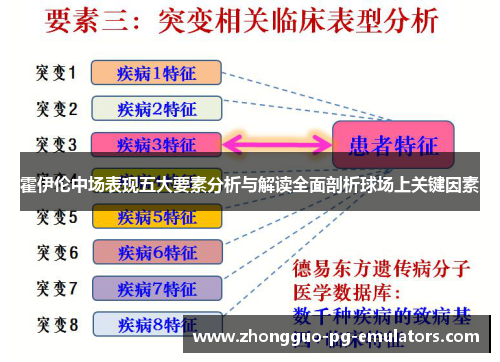 霍伊伦中场表现五大要素分析与解读全面剖析球场上关键因素 霍伊伦中场表现五大要素分析与解读全面剖析球场上关键因素