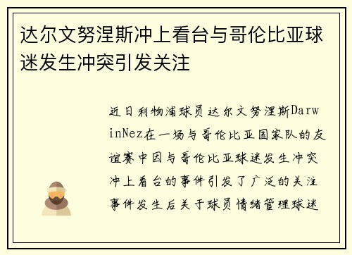 达尔文努涅斯冲上看台与哥伦比亚球迷发生冲突引发关注 达尔文努涅斯冲上看台与哥伦比亚球迷发生冲突引发关注